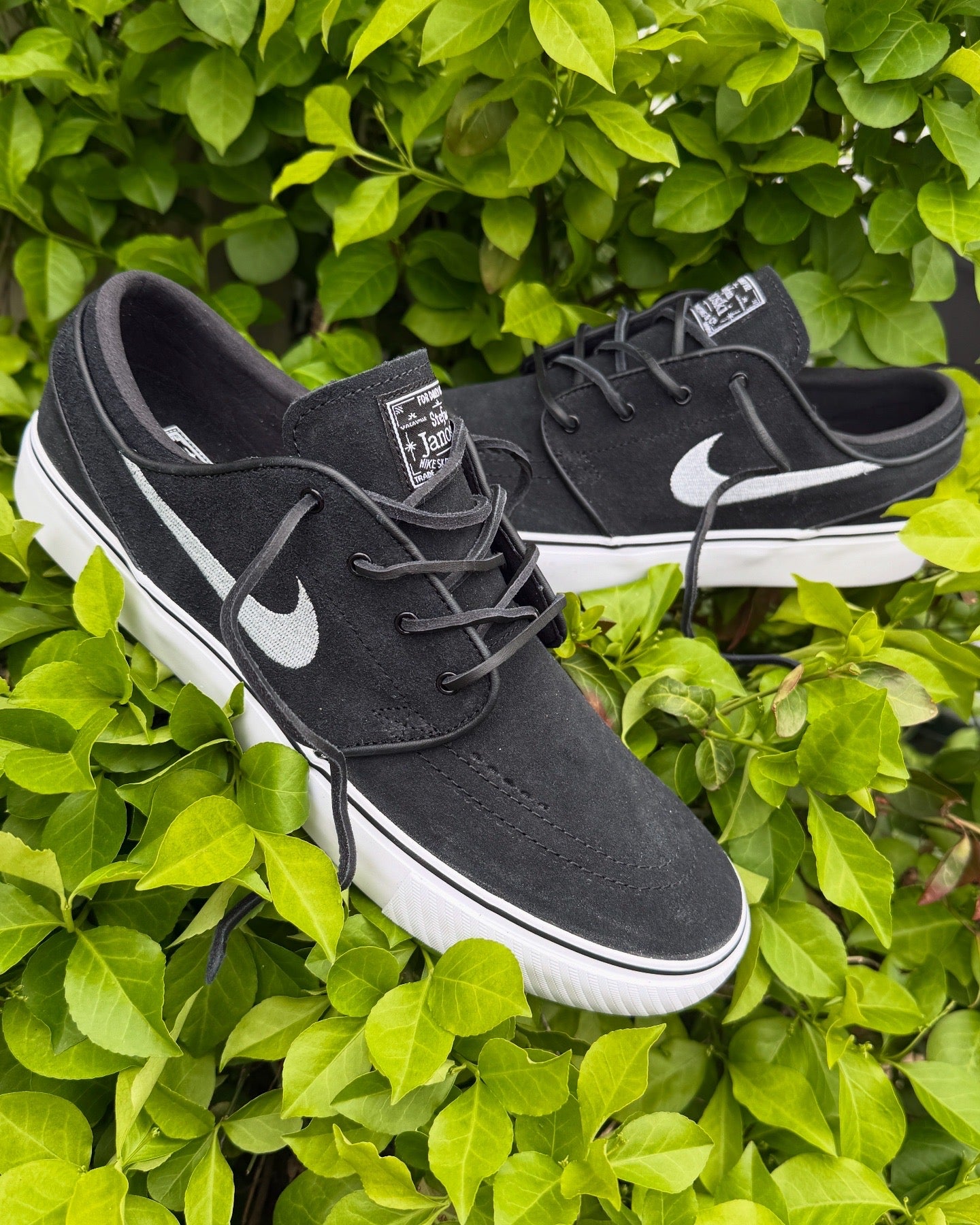 Janoski OG+
