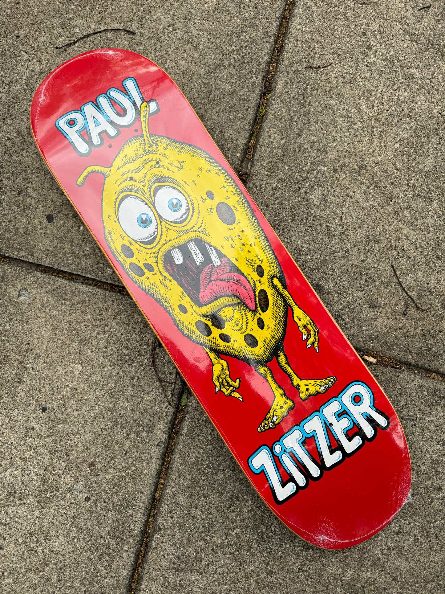 Paul Zitzer