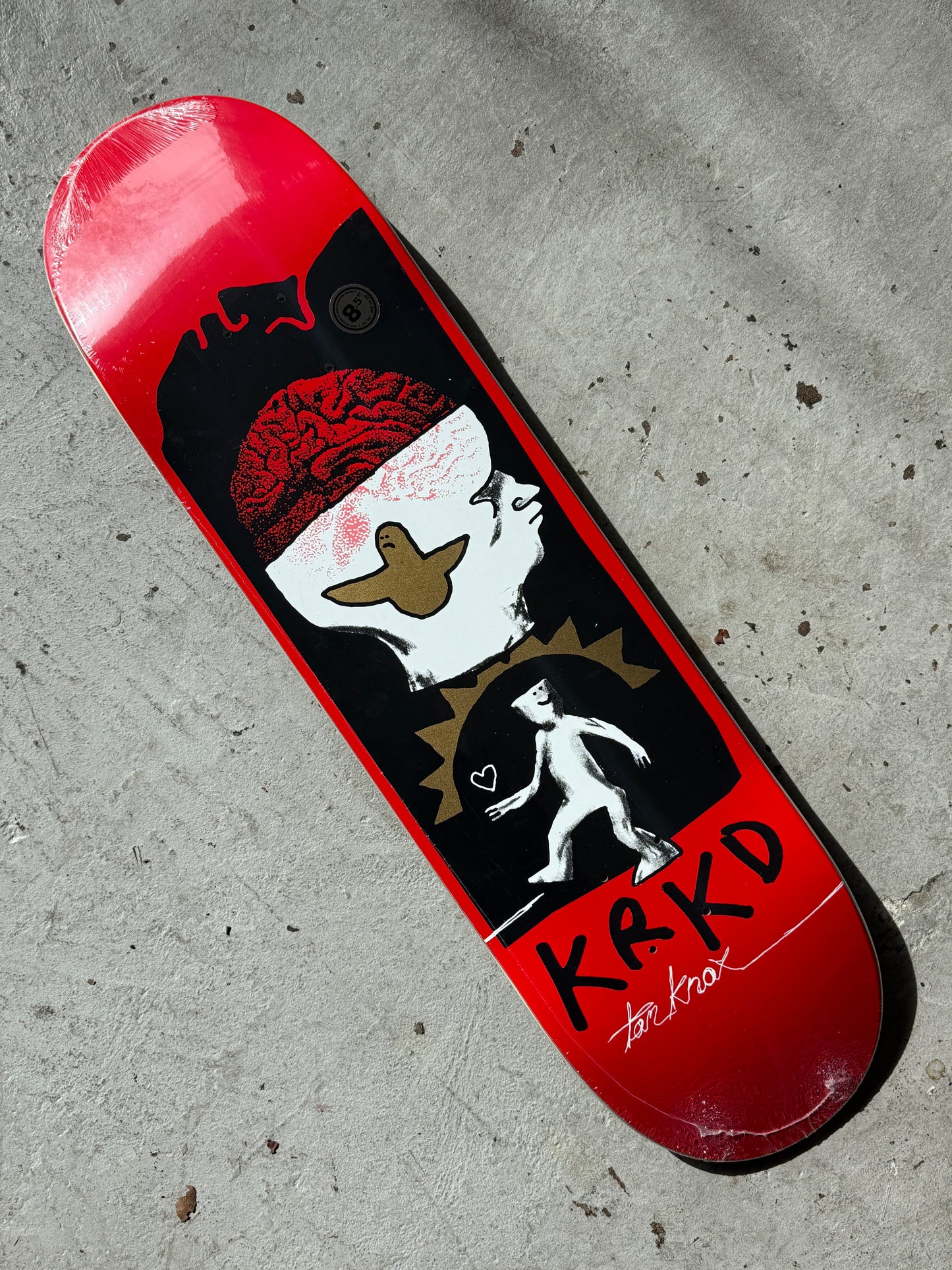 Knox Brain & Bird