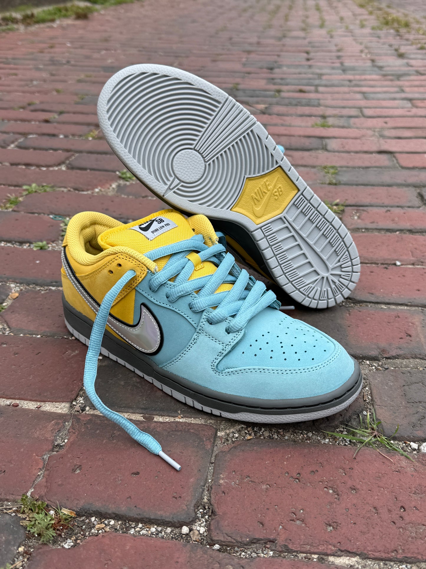 Dunk Low Pro (Muni Pass 2)