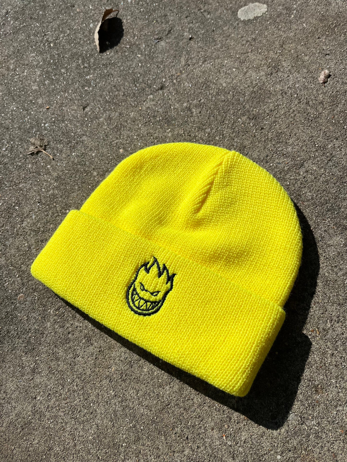 Spitfire Big Head Beanie