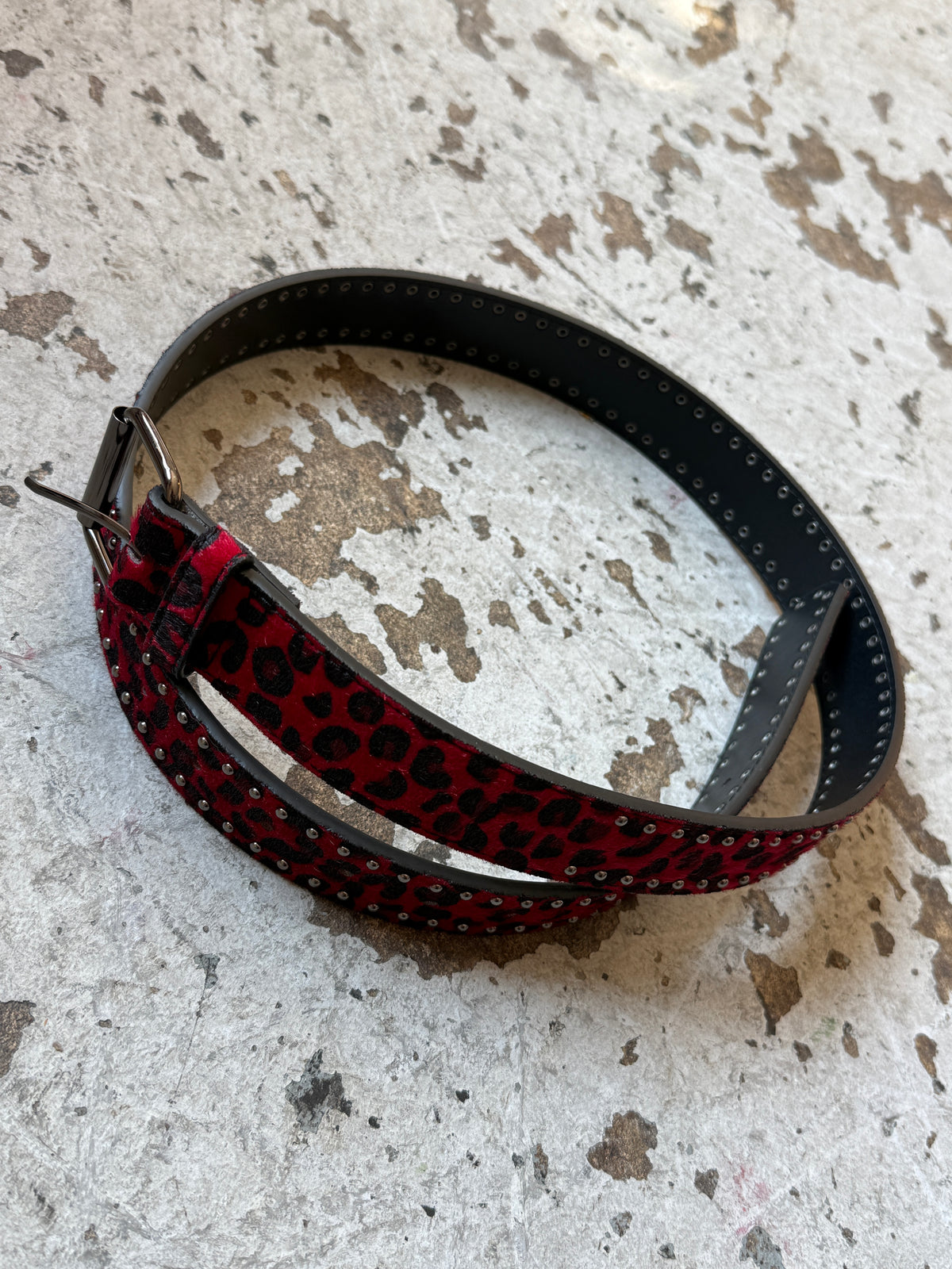 Cheetah Rivet