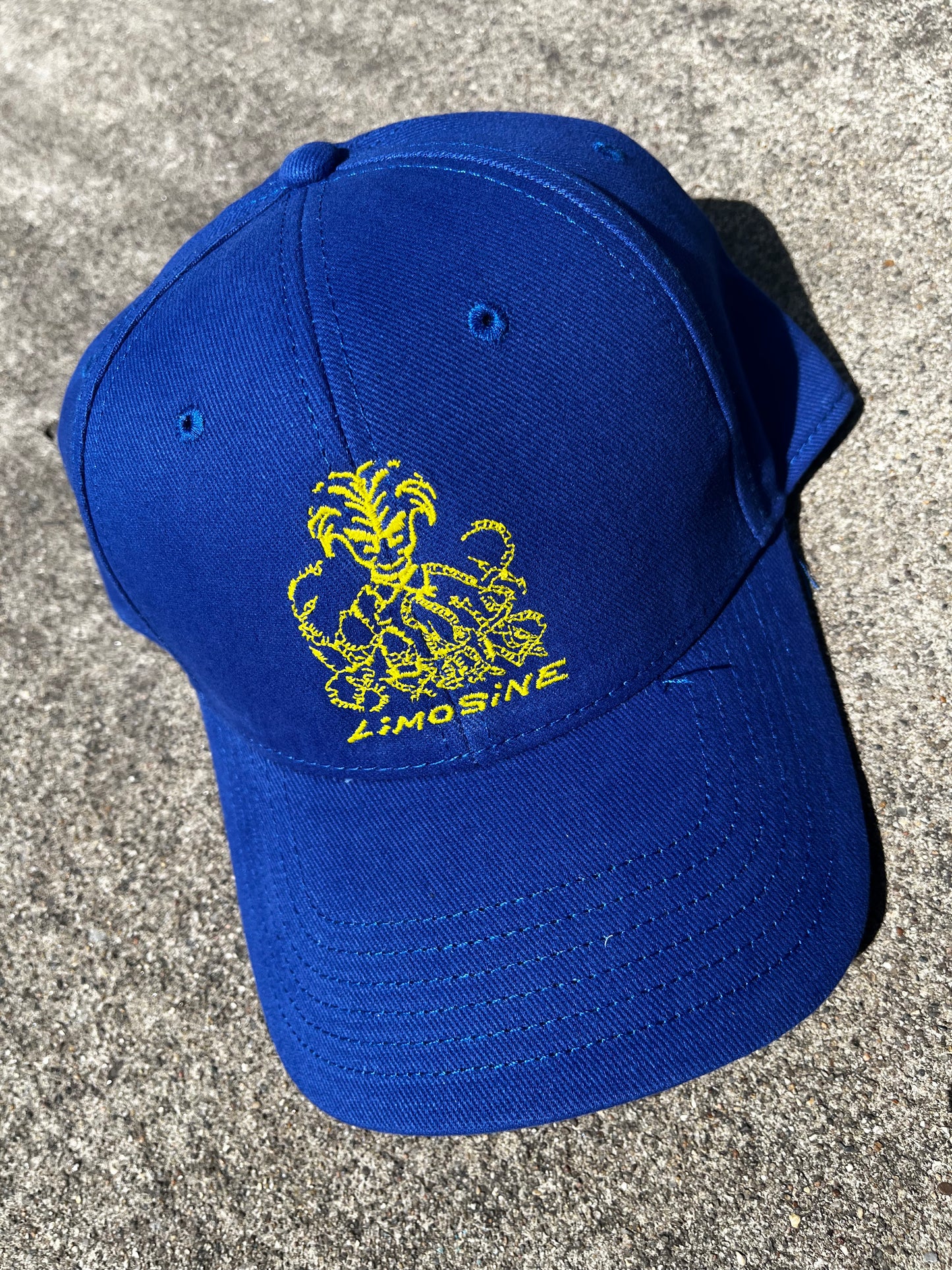 Snake Pit Hat