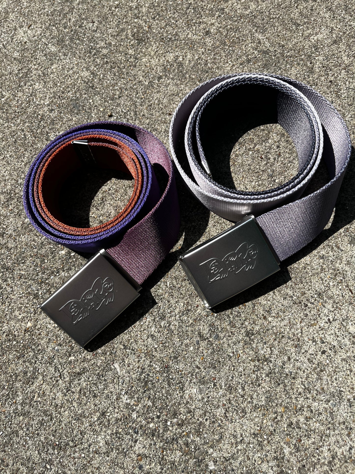 Gradient Web Belt