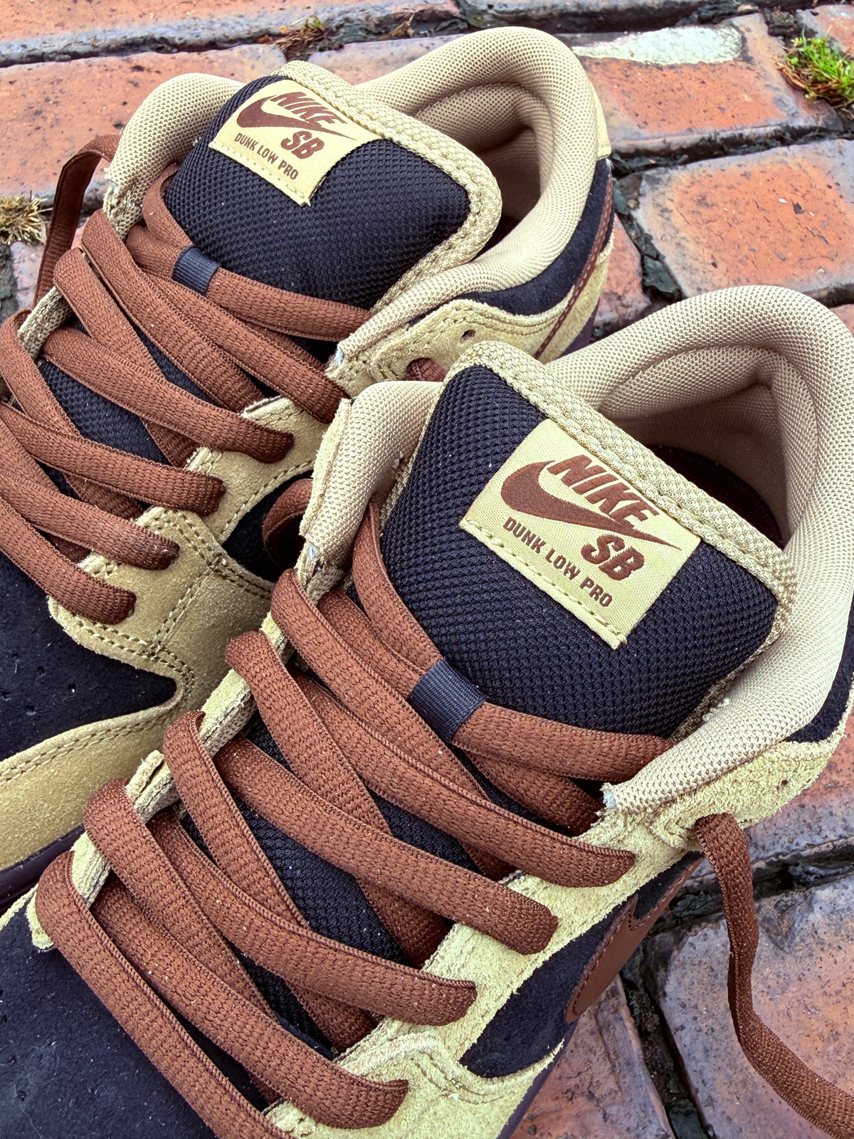 Dunk Low Pro (Filbert)