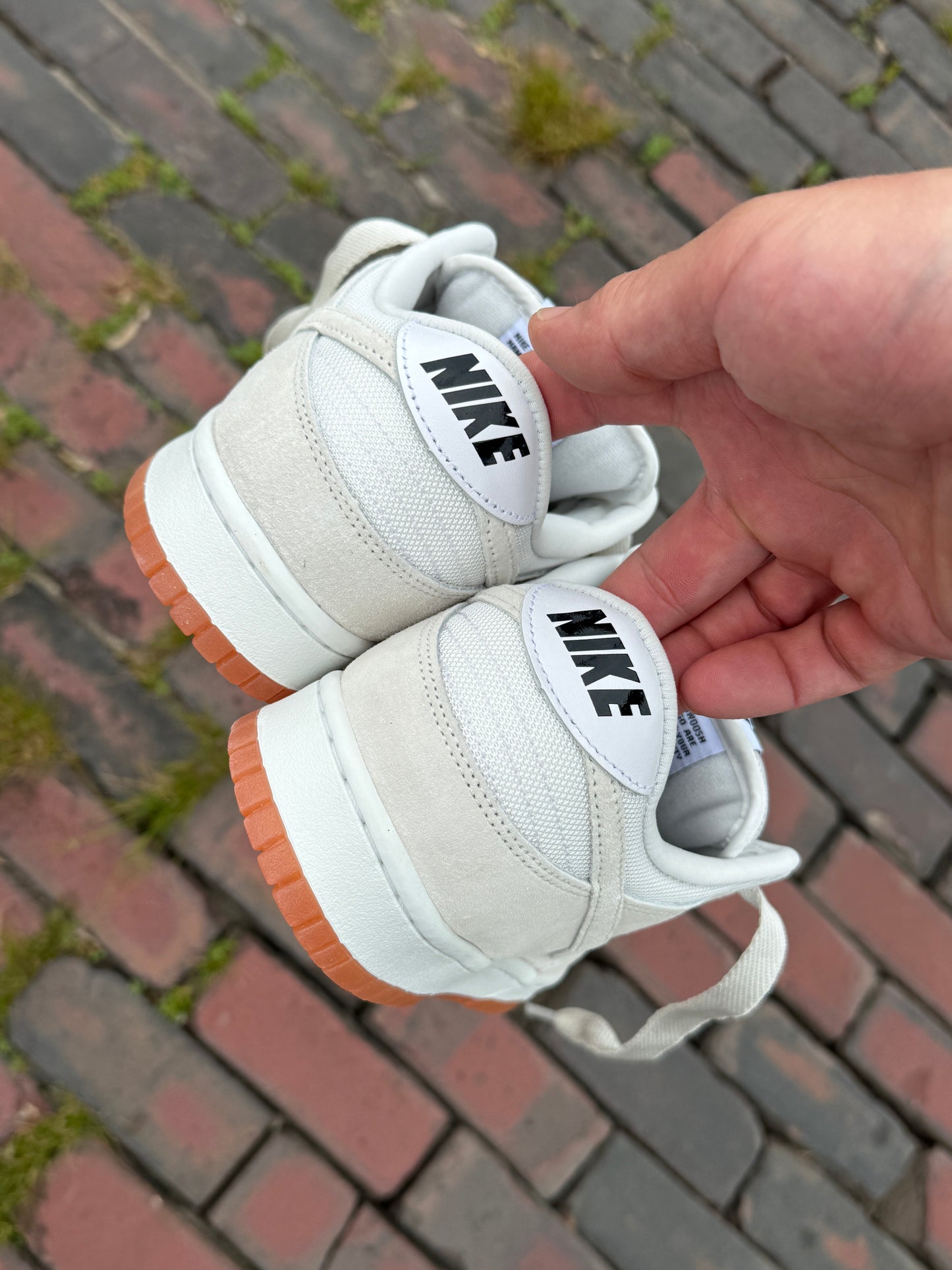 Dunk Low Pro B (Ivory/White)