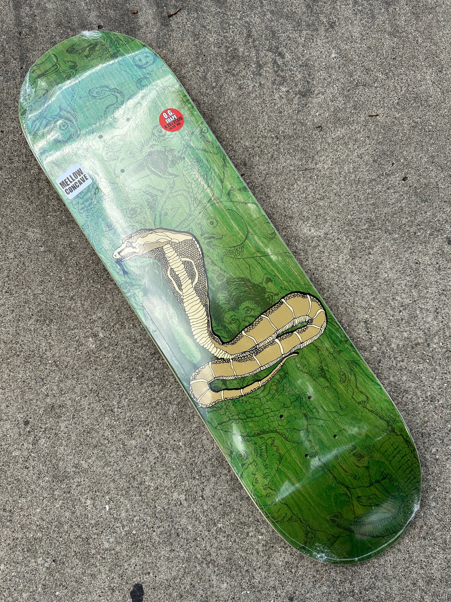 Piranhaconda