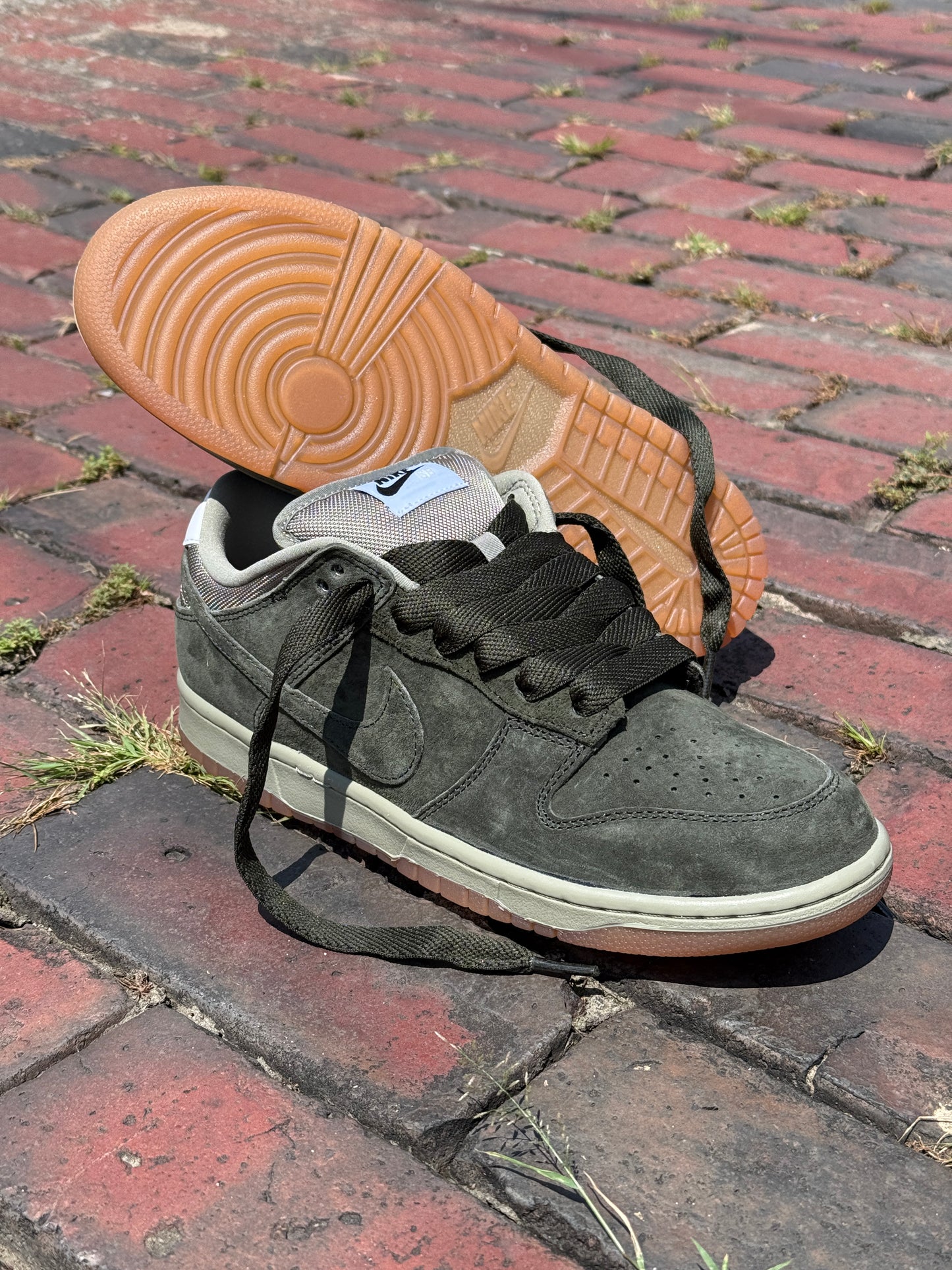 Dunk Low Pro B (Sequoia)