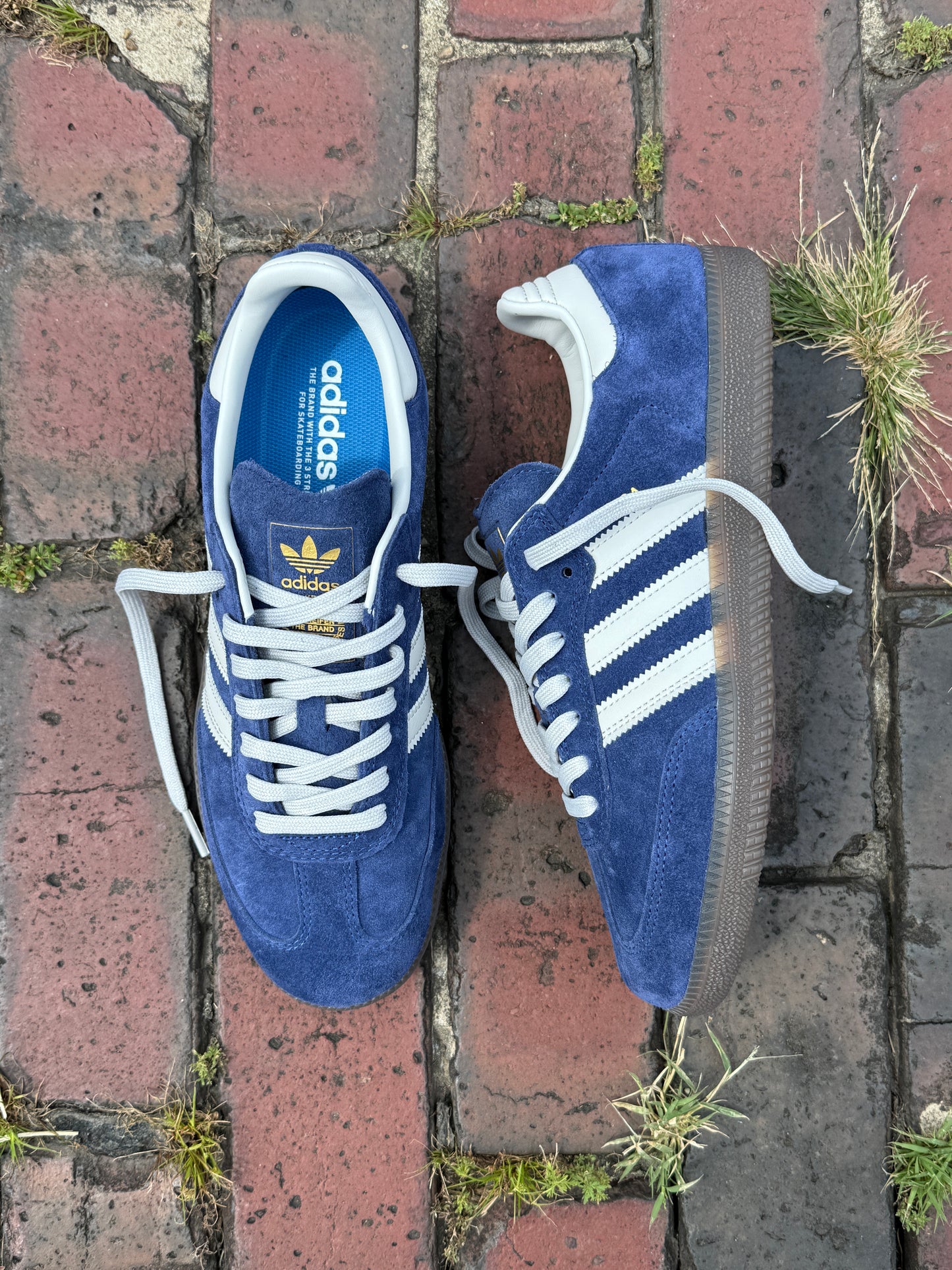 Samba ADV (Blue/Gum)