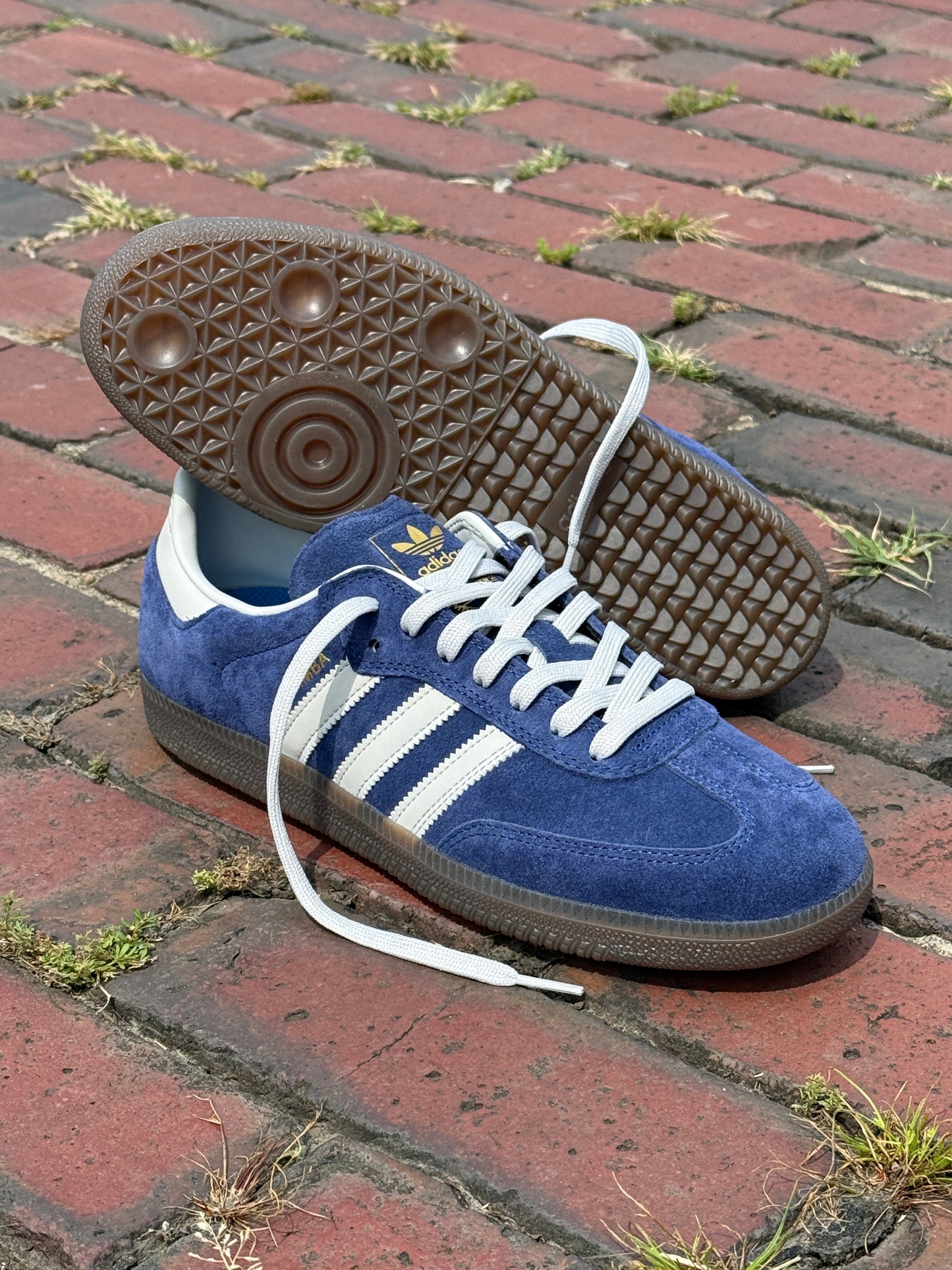 Samba ADV (Blue/Gum)