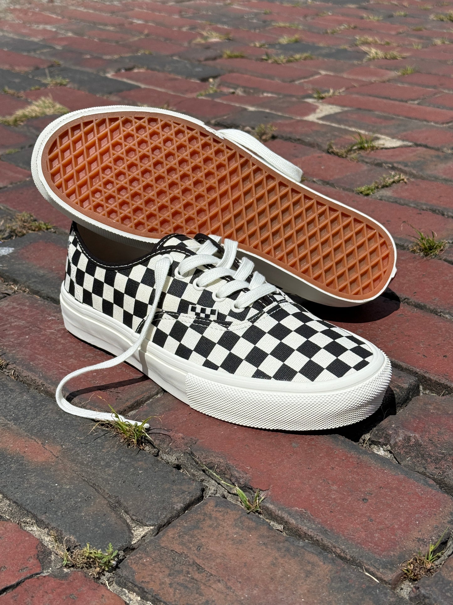 Skate Authentic (Checkerboard)