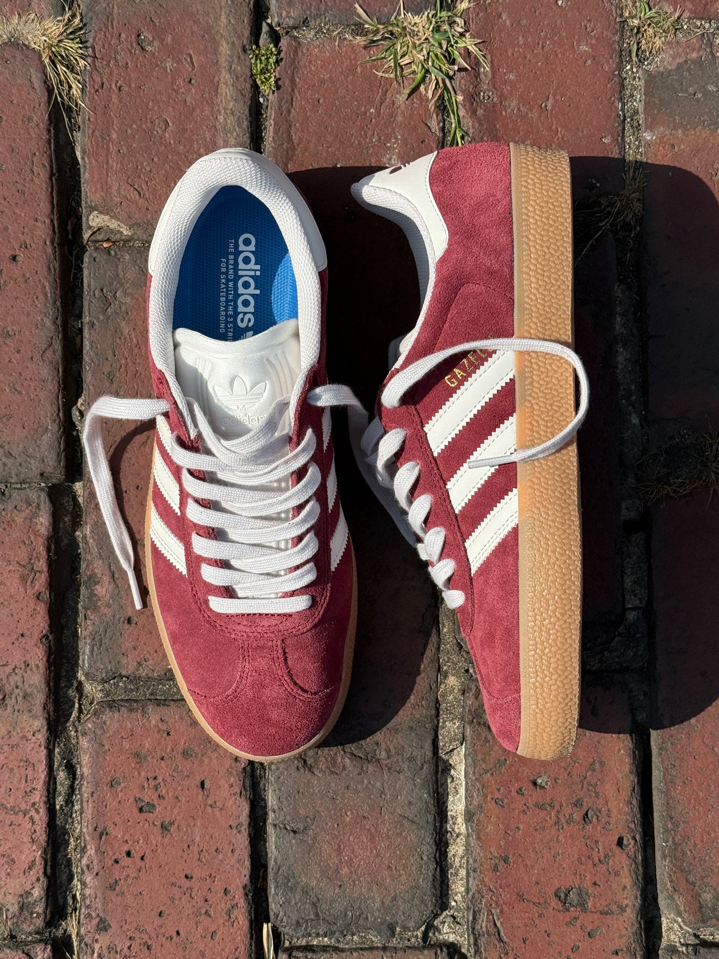 Gazelle ADV (Brick/Gum)