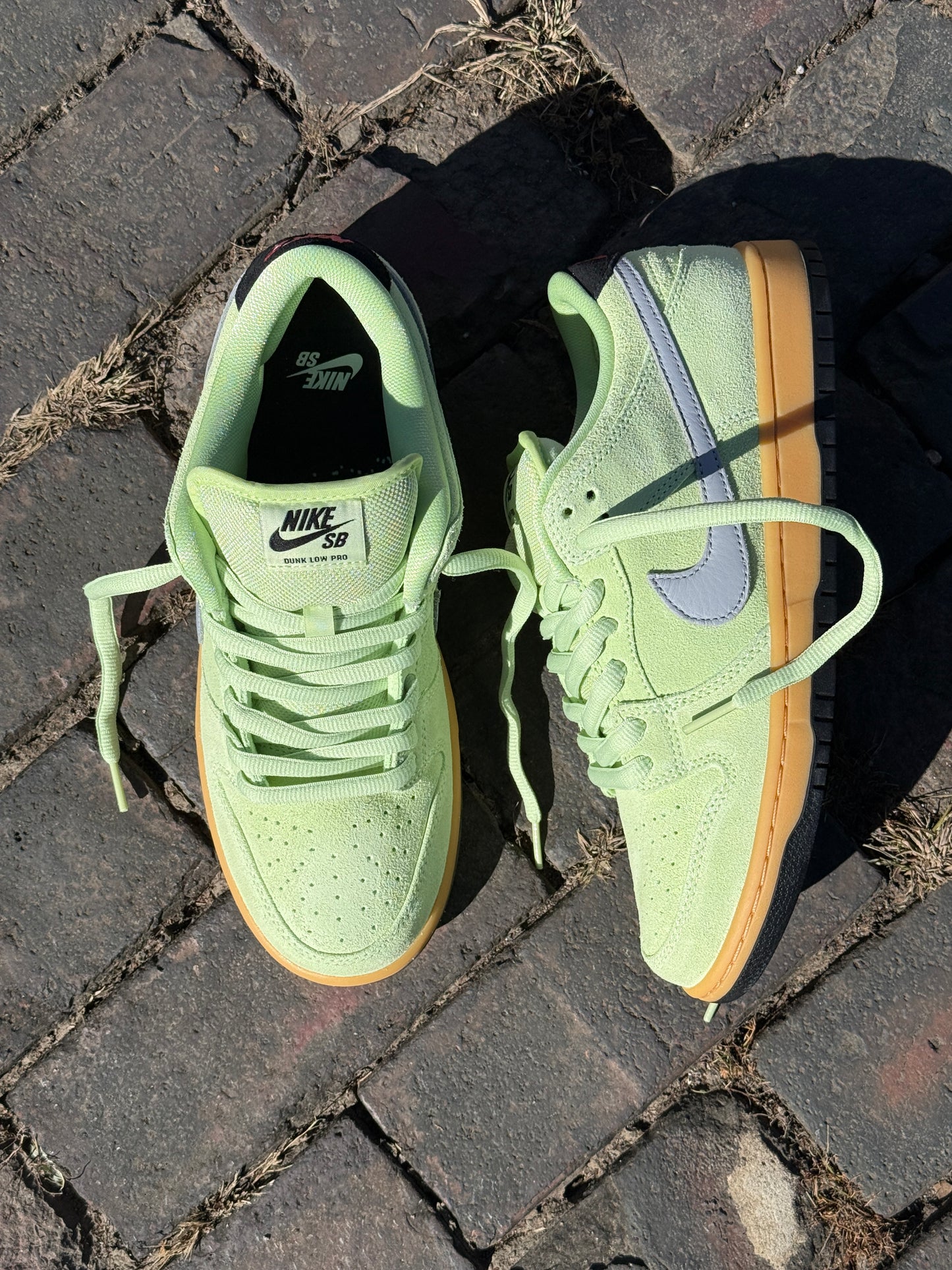 Dunk Low Pro (Verdugo Mountain)