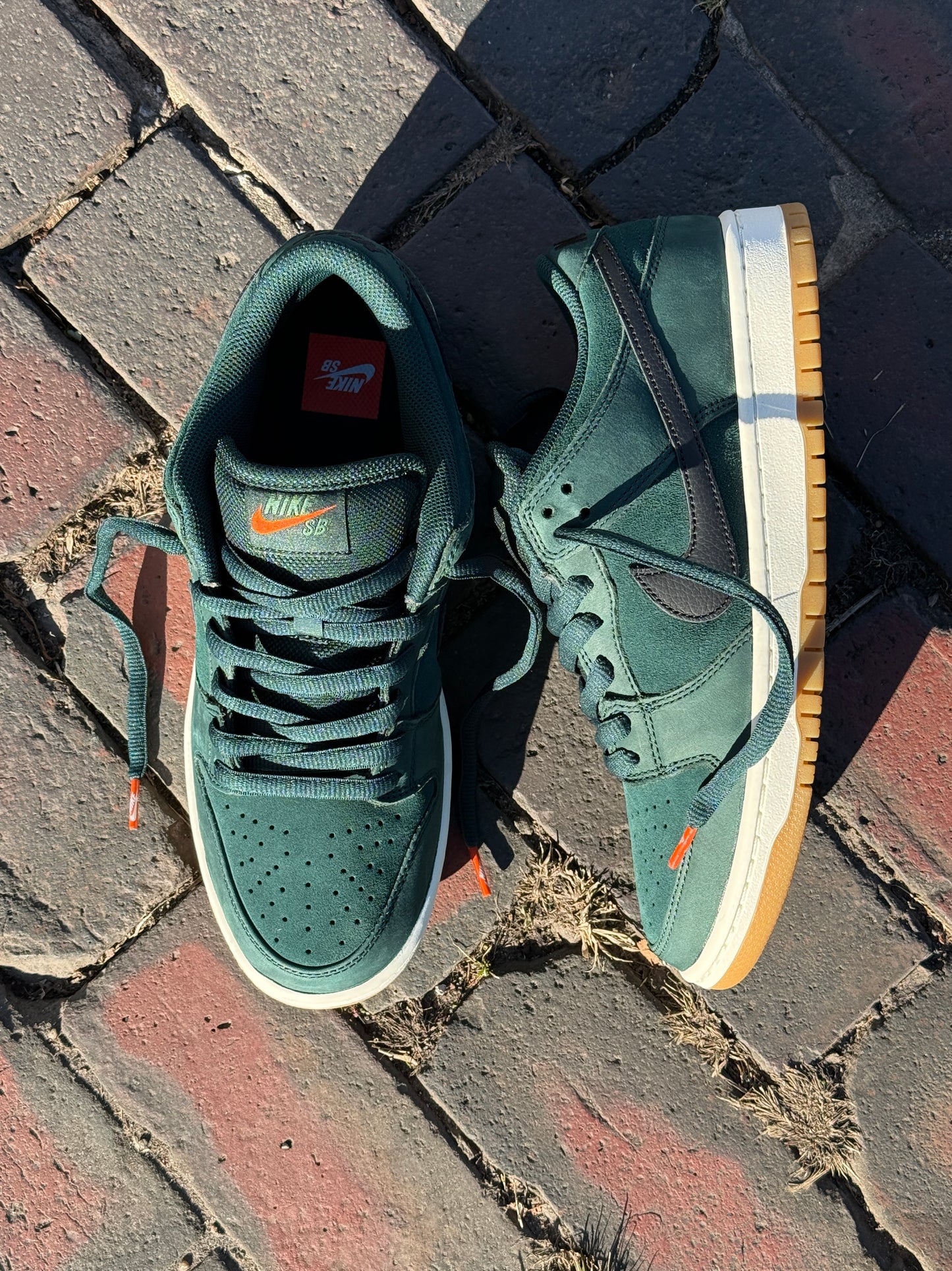 Dunk Low Pro (Deep Fir/Black)