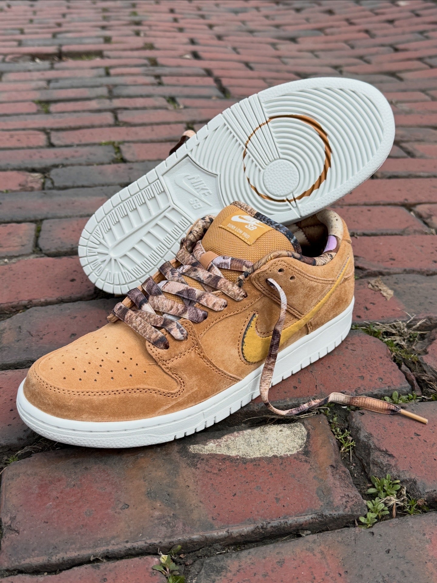 NOTE Dunk Low Pro