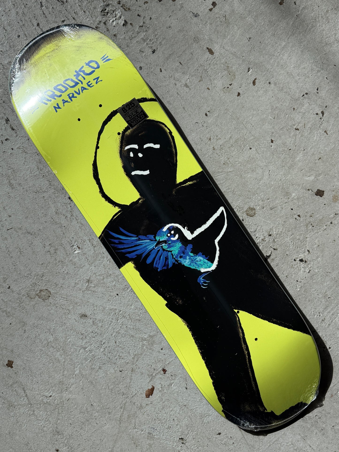 Narvaez Bluebird