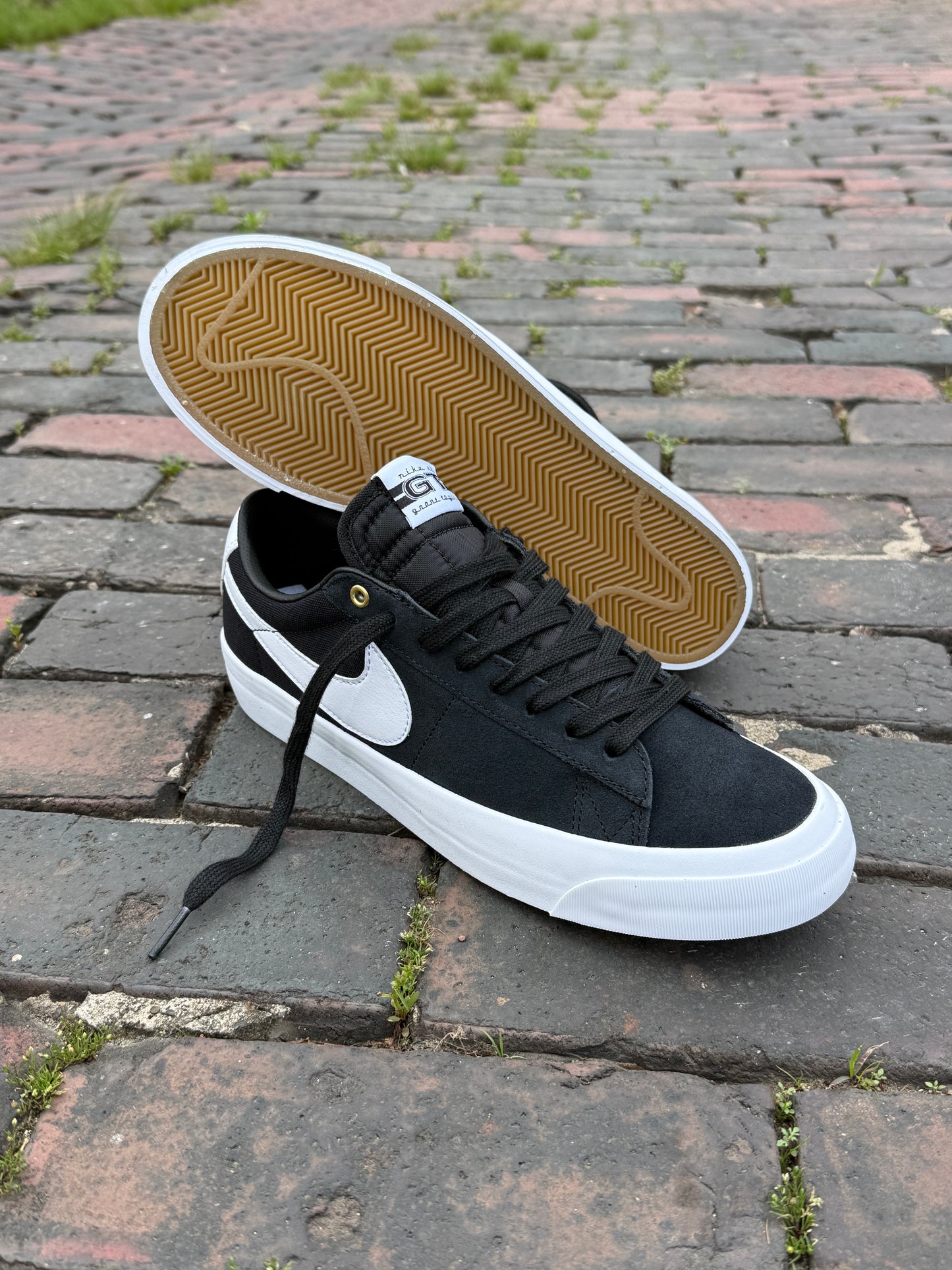 GT Blazer Low