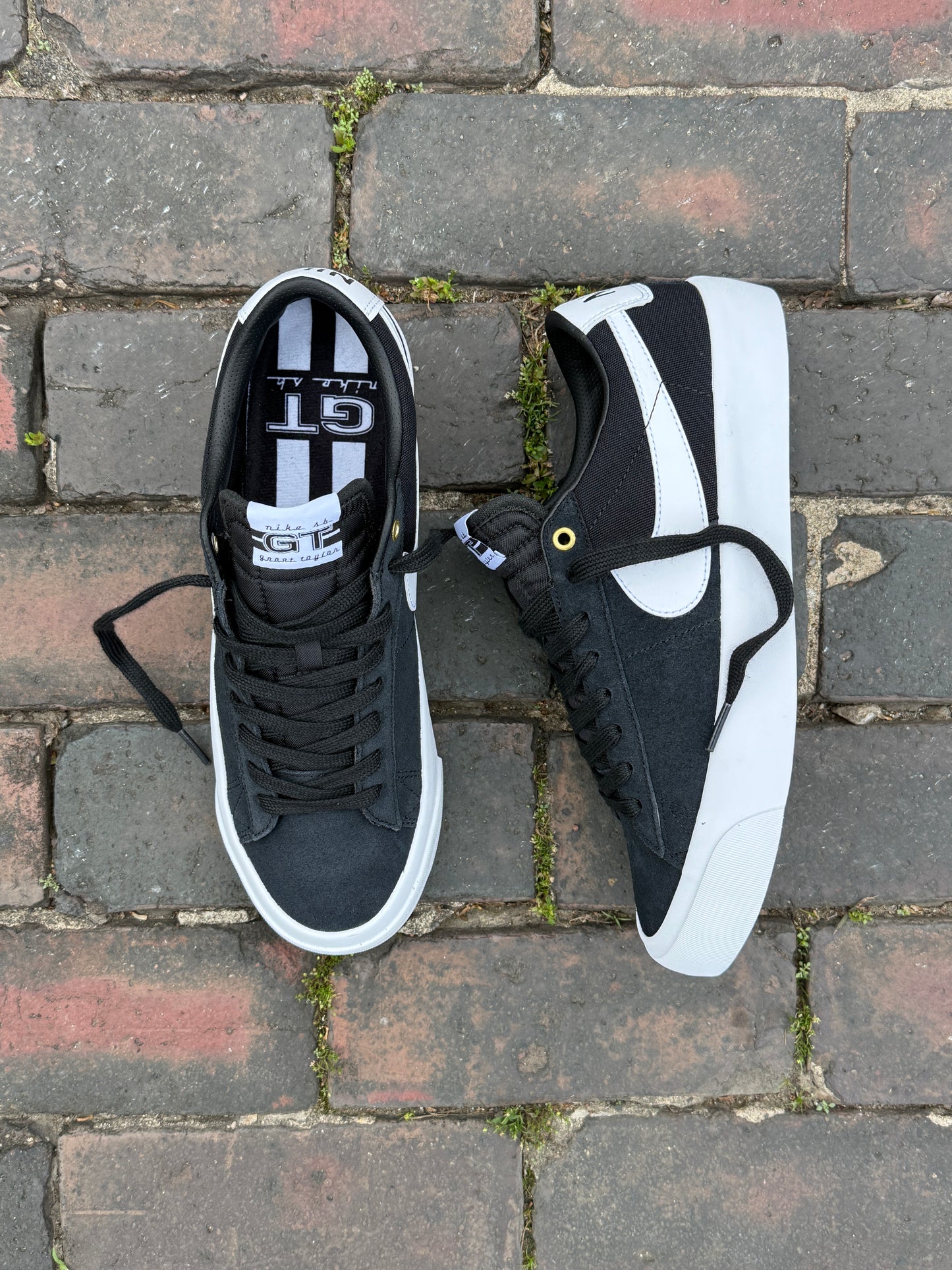 GT Blazer Low