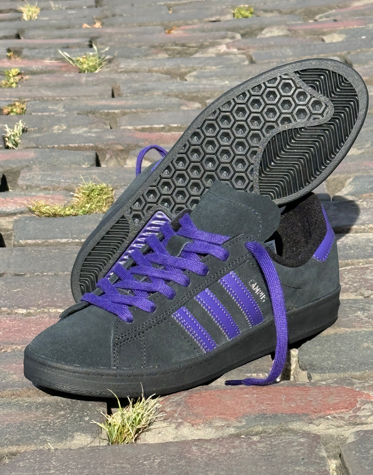 Campus ADV (Black/Purple)