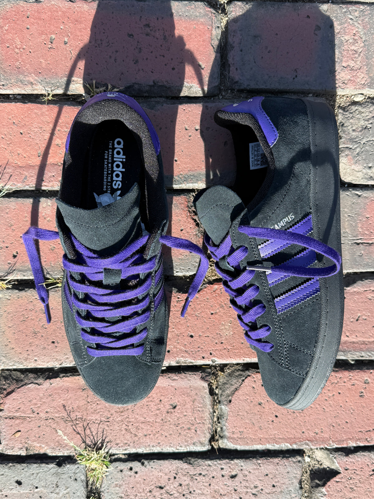 Campus ADV (Black/Purple)
