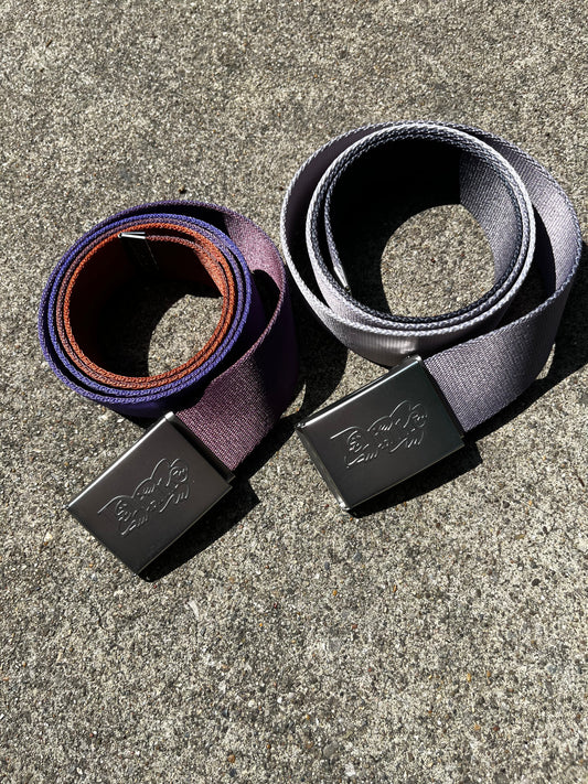 Gradient Web Belt