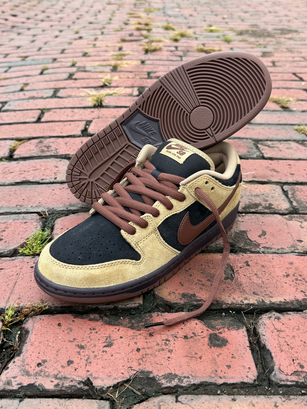 Dunk Low Pro (Filbert)