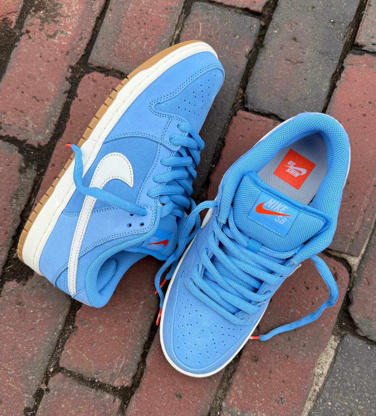 Dunk Low Pro (University Blue/White/Gum)