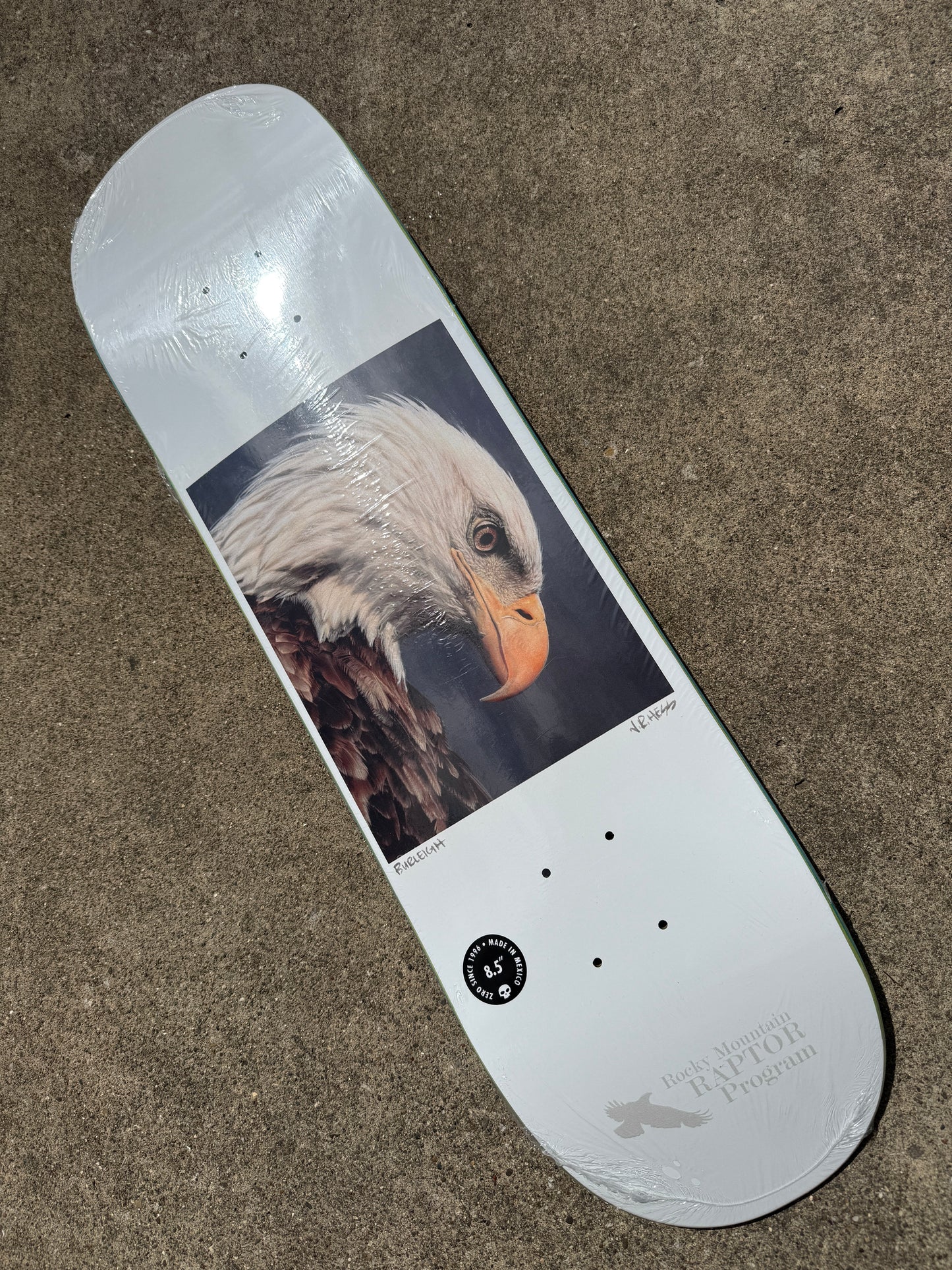 Burleigh Bald Eagle