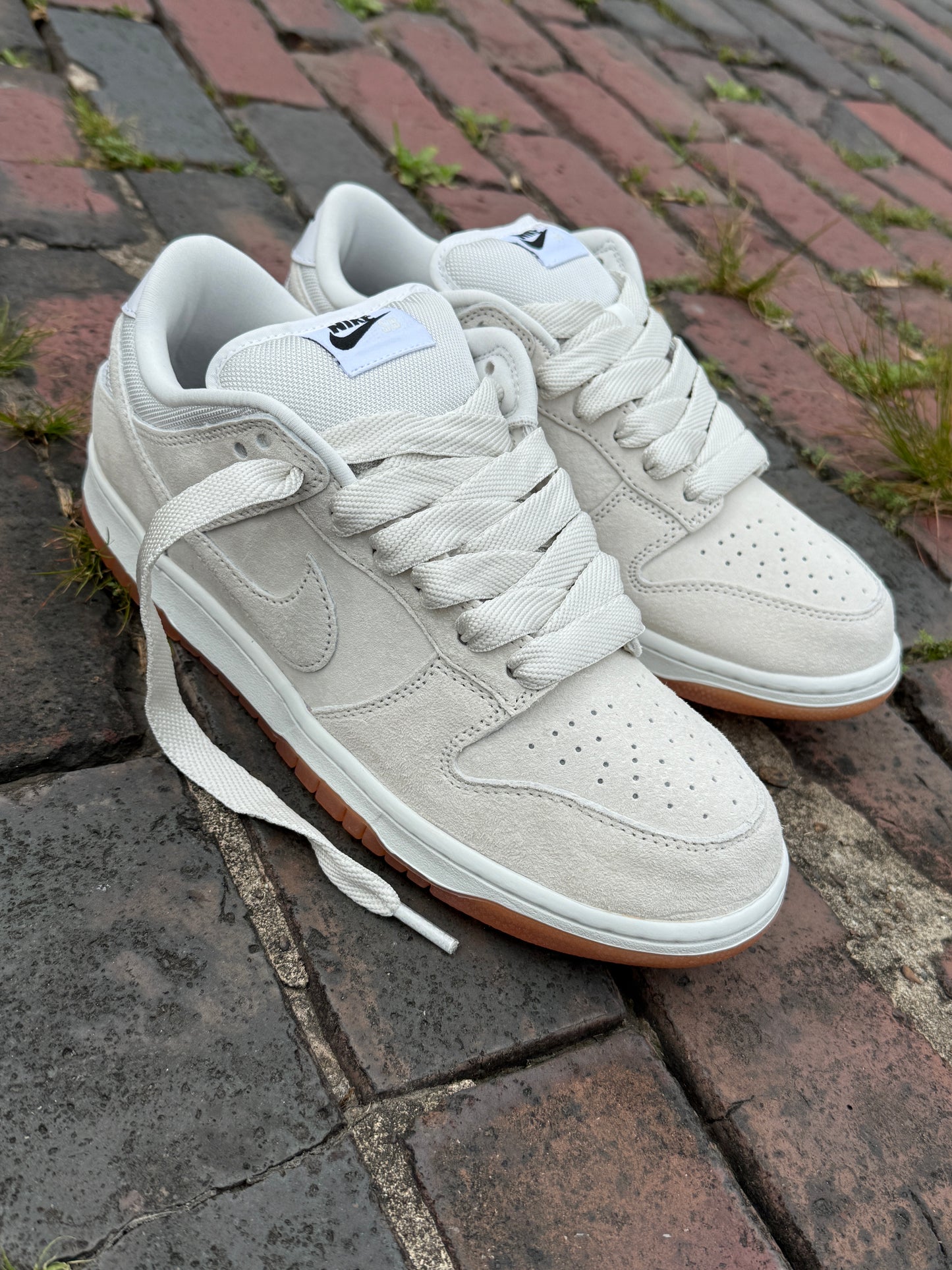 Dunk Low Pro B (Ivory/White)