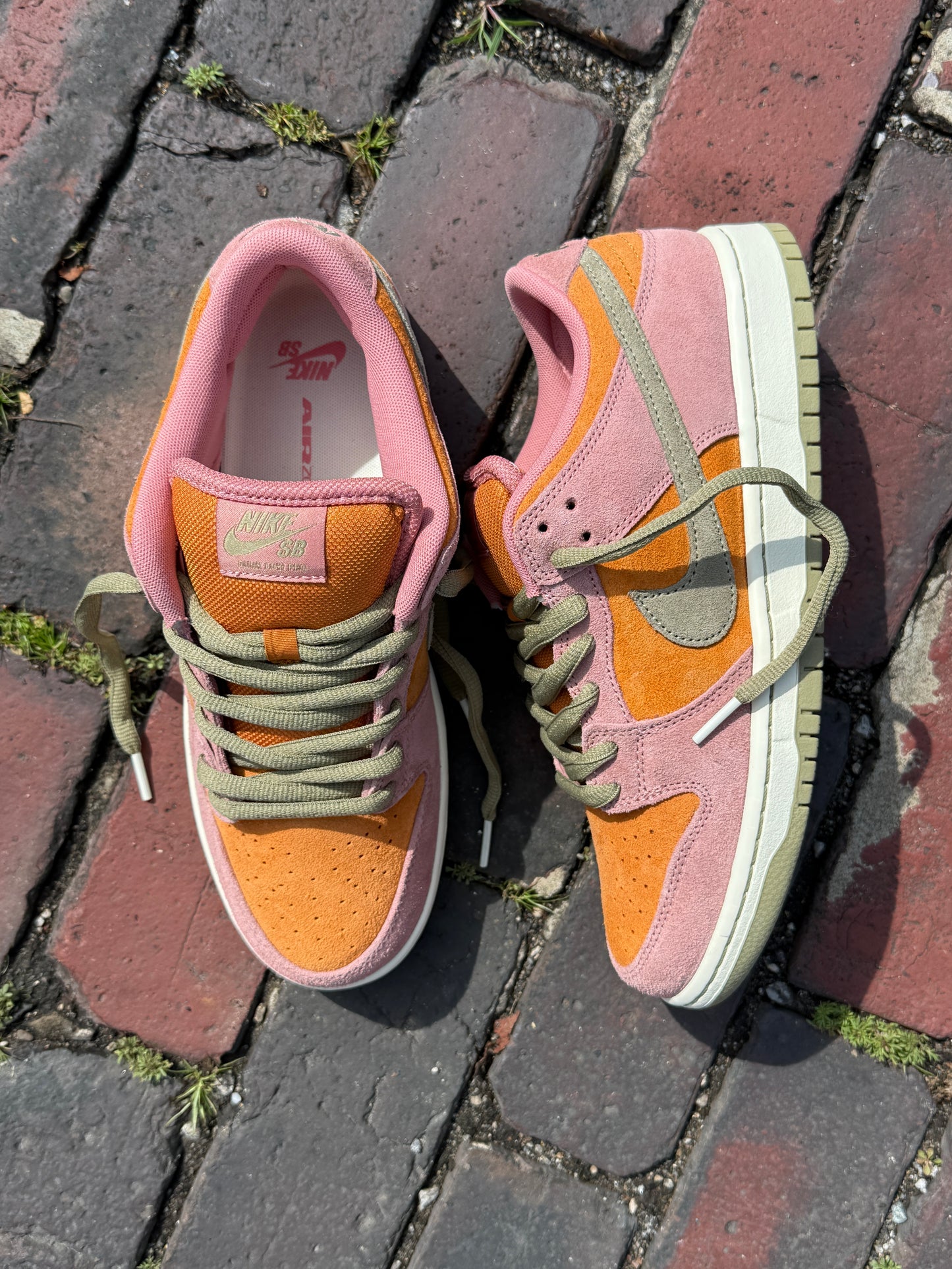 Dunk Low Pro (Red Stardust)