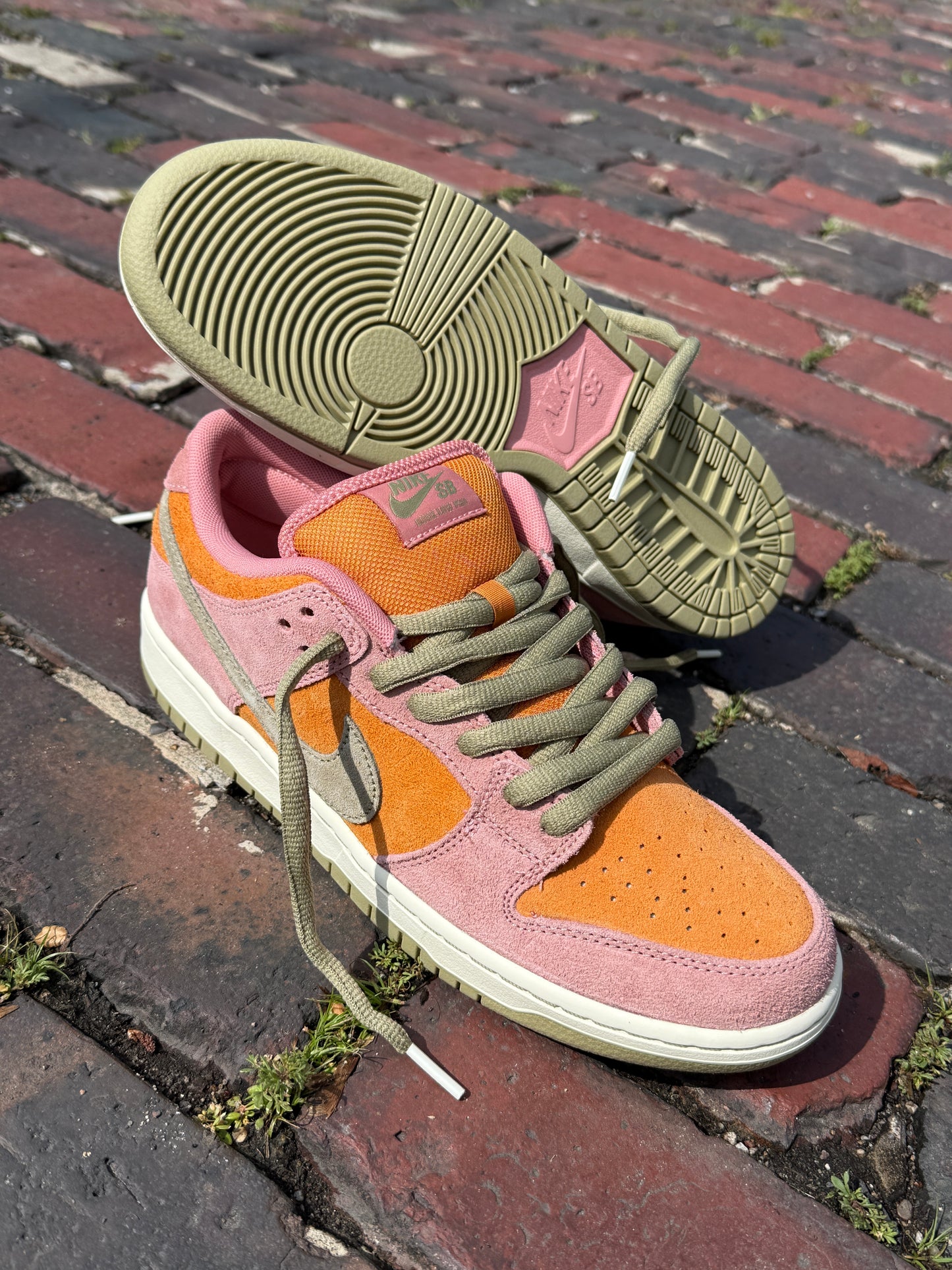 Dunk Low Pro (Red Stardust)