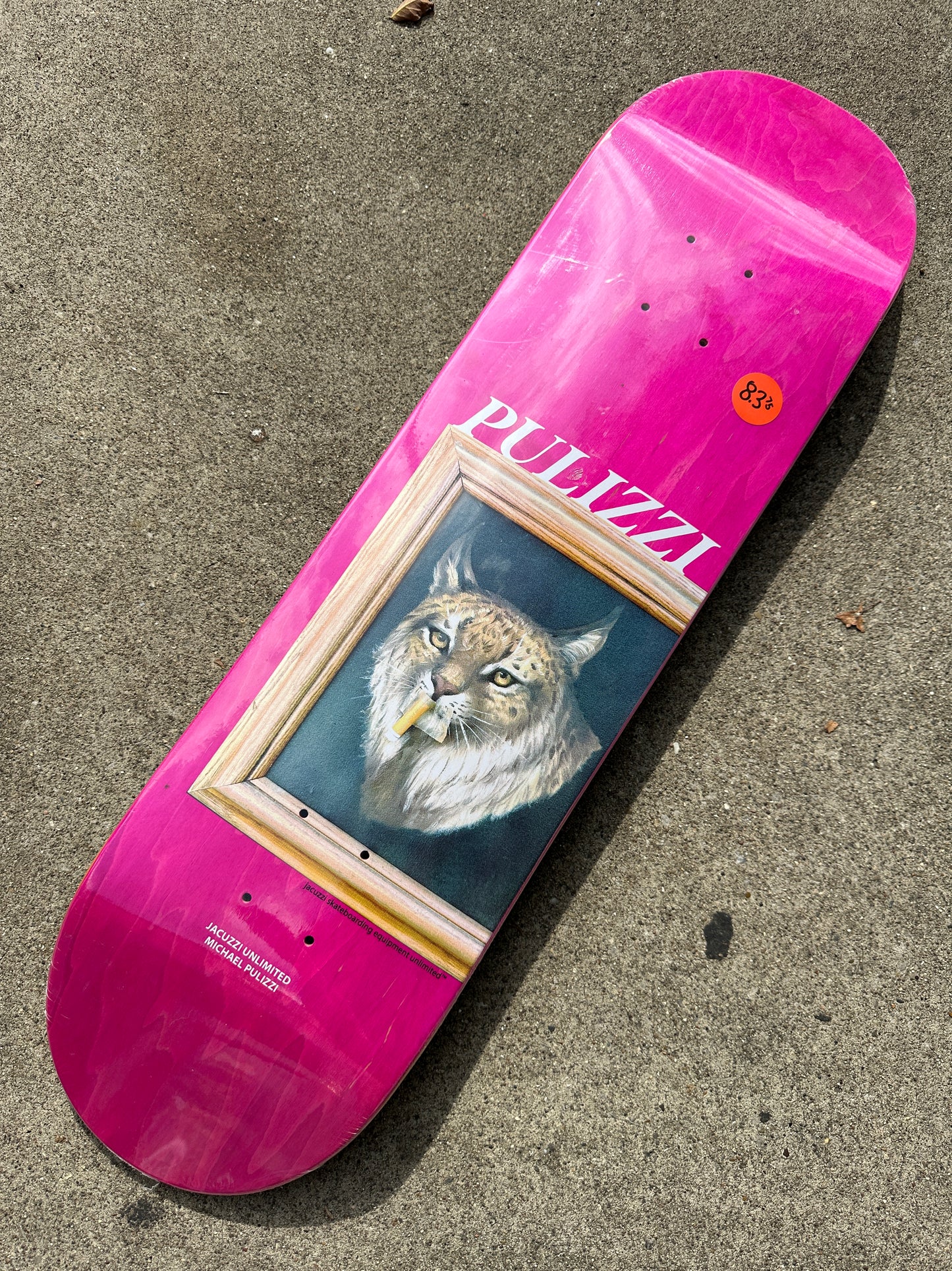 Jacuzzi Michael Pulizzi Bobcat Deck
