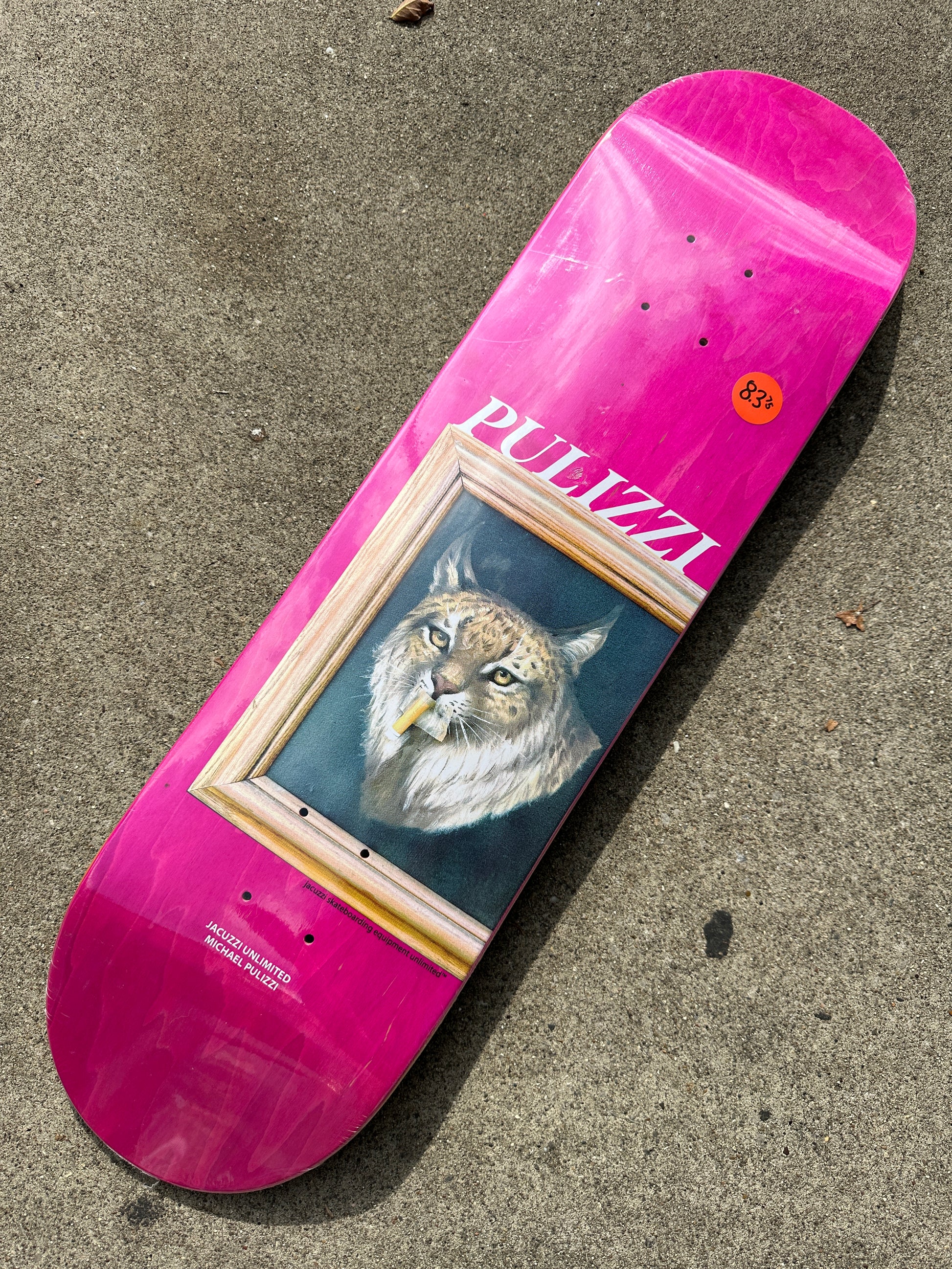 Jacuzzi Michael Pulizzi Bobcat Deck