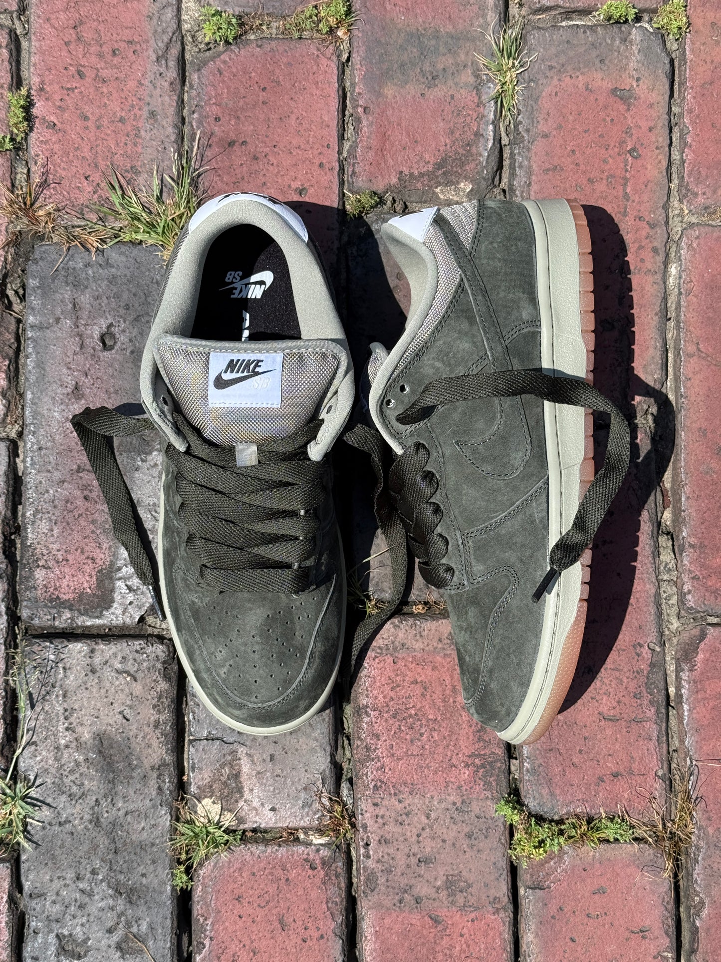 Dunk Low Pro B (Sequoia)