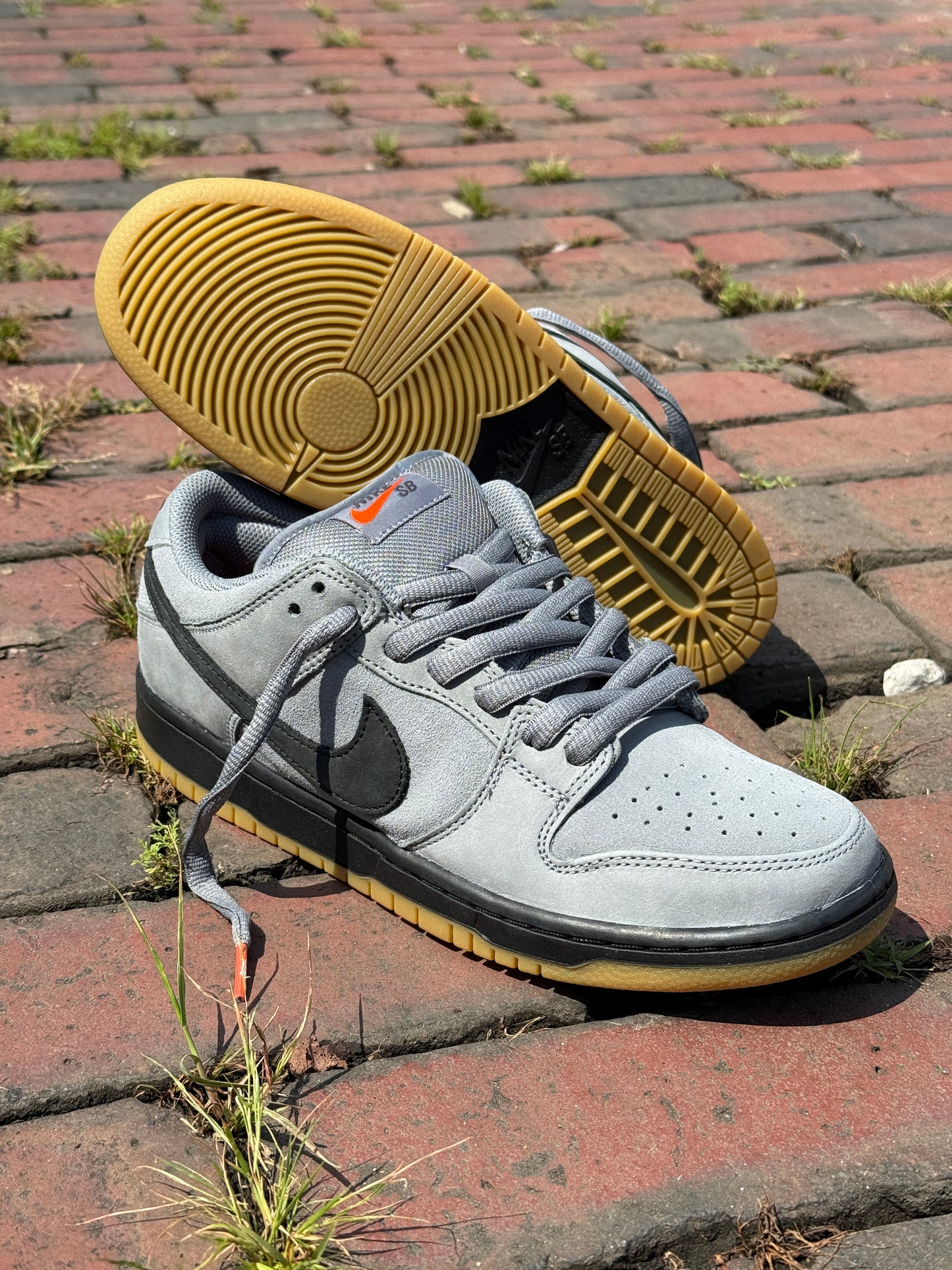 Dunk Low Pro ISO (Gray/Black/Gum)