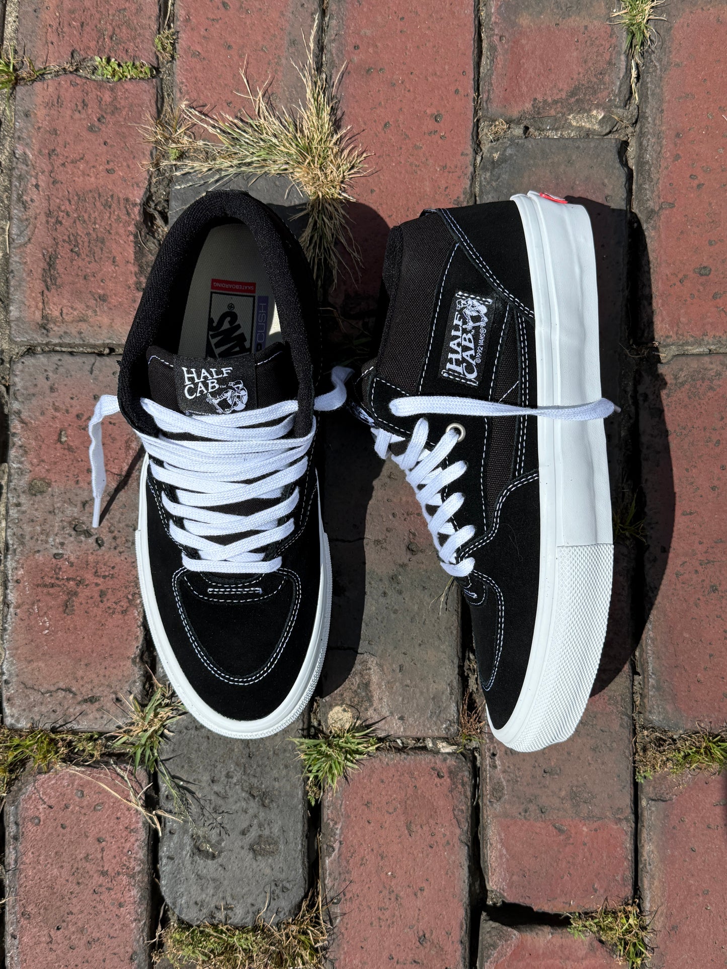 Skate Half Cab (Black/White)