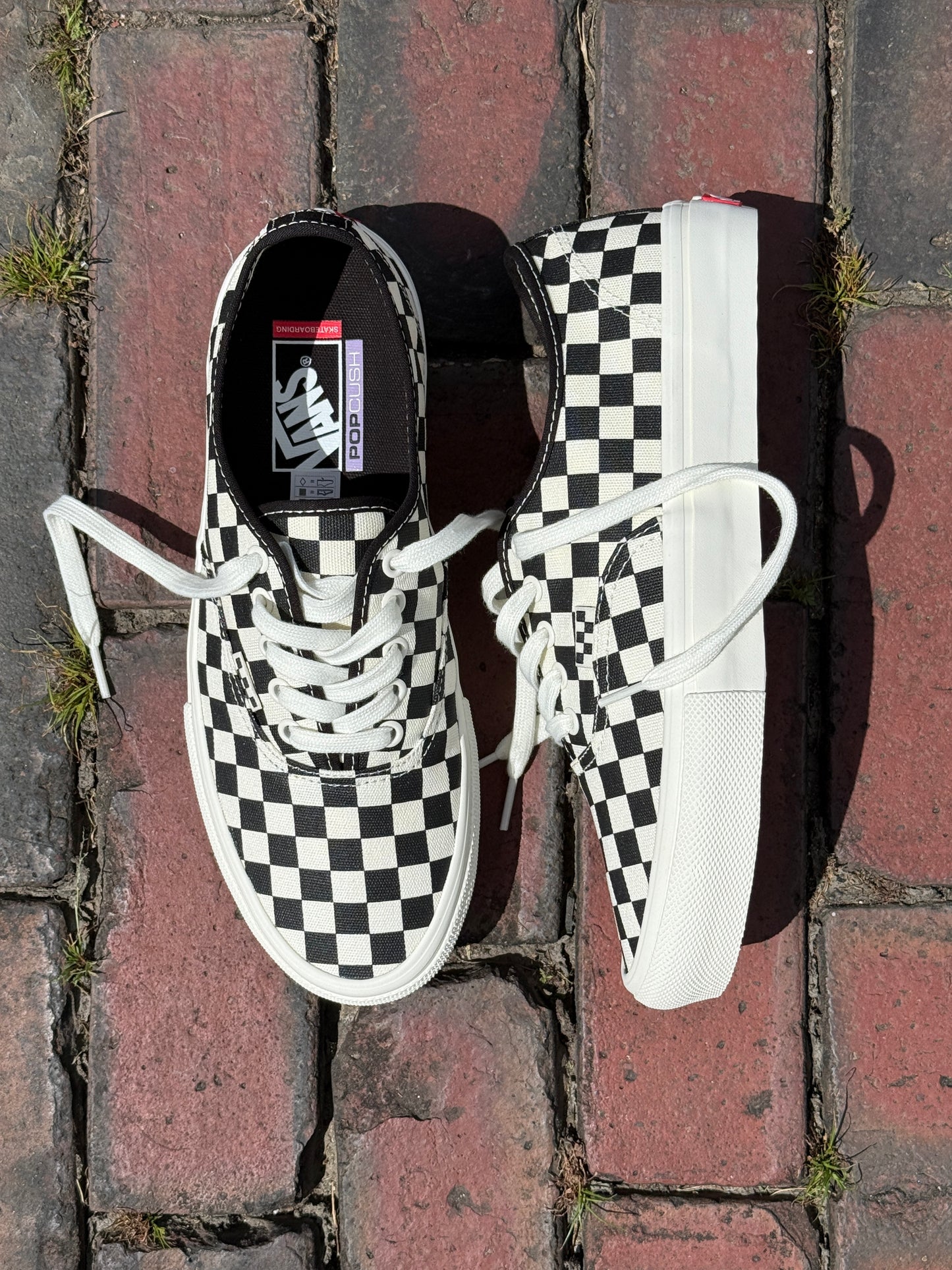 Skate Authentic (Checkerboard)
