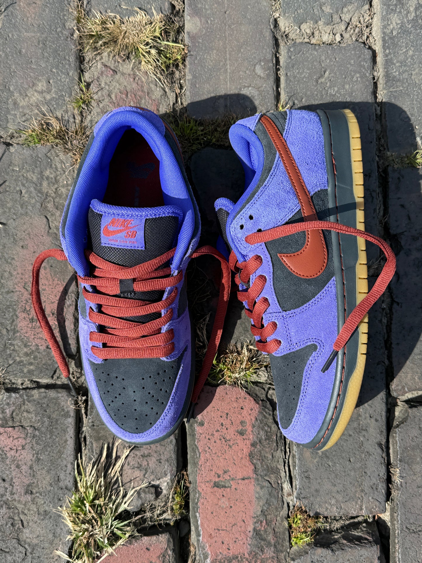 Dunk Low Pro (Black/Purple)