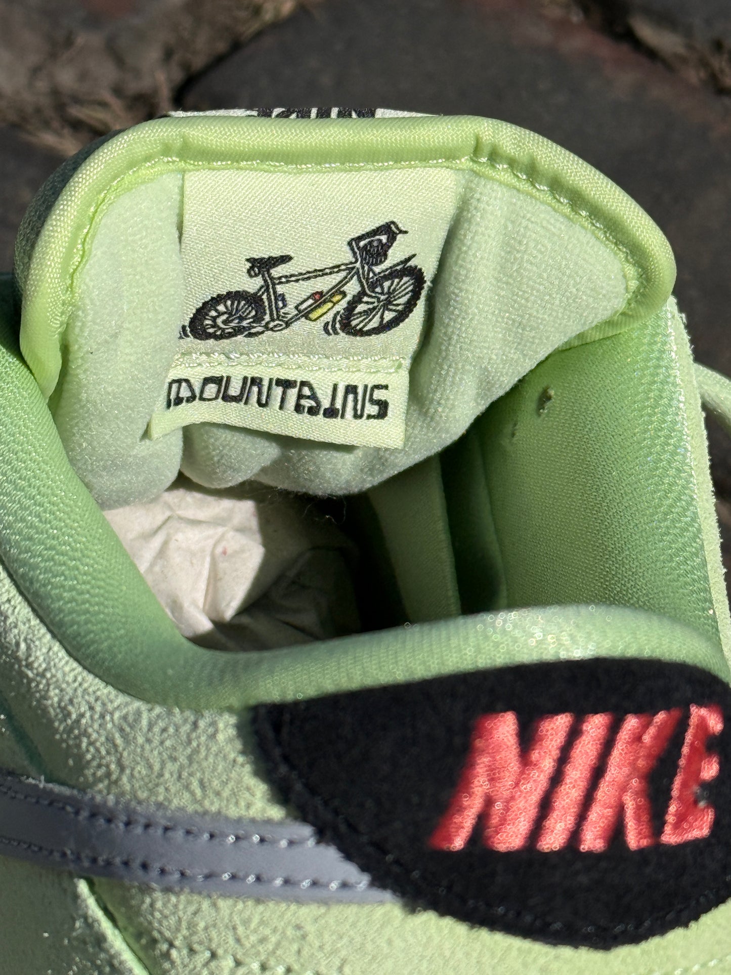 Dunk Low Pro (Verdugo Mountain)