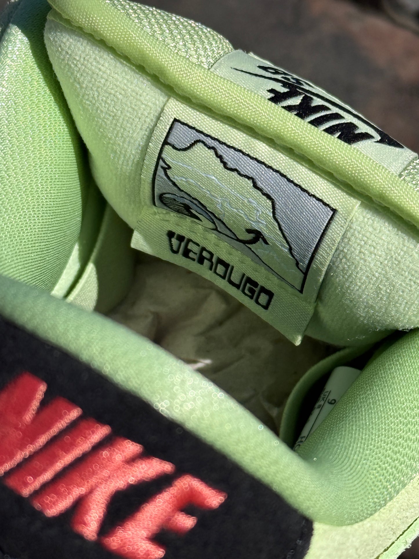 Dunk Low Pro (Verdugo Mountain)