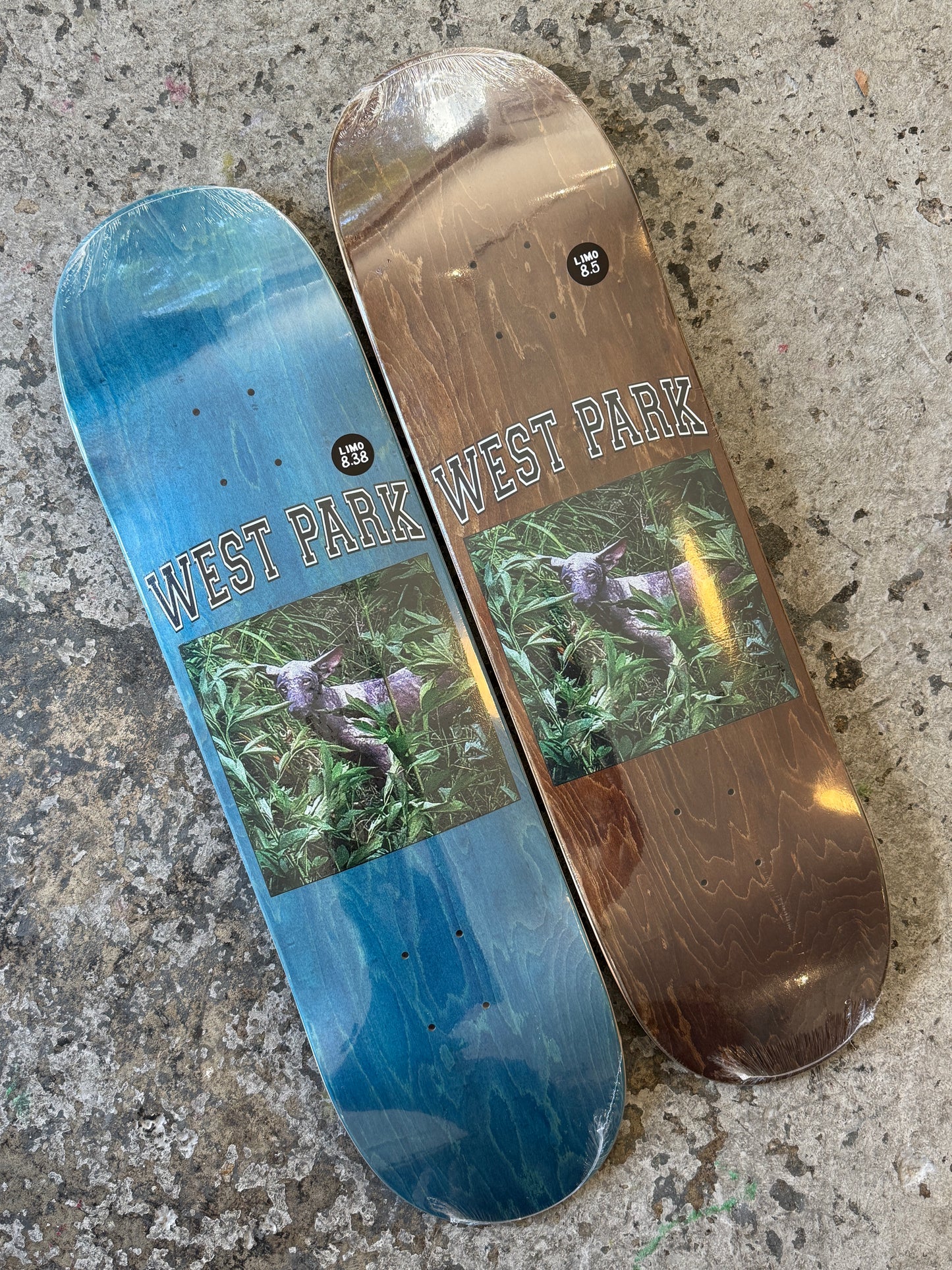 Angel (Aaron Loreth)