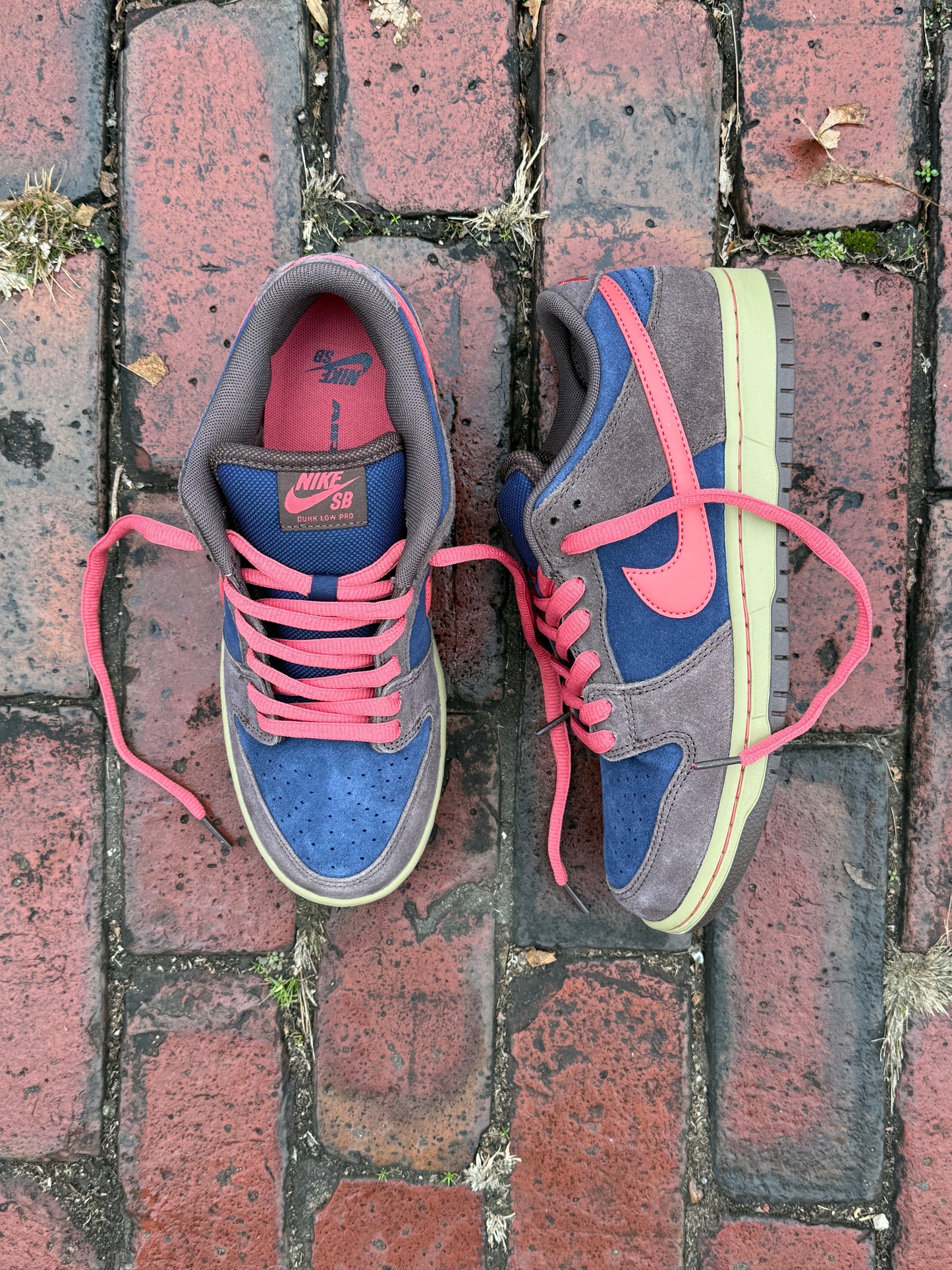 Dunk Low Pro (Baroque Brown/Adobe)